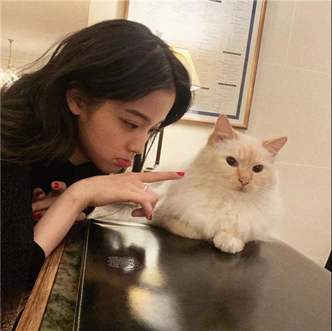 姜姓的属猪宝宝怎么取名 姜姓男孩名字属猪